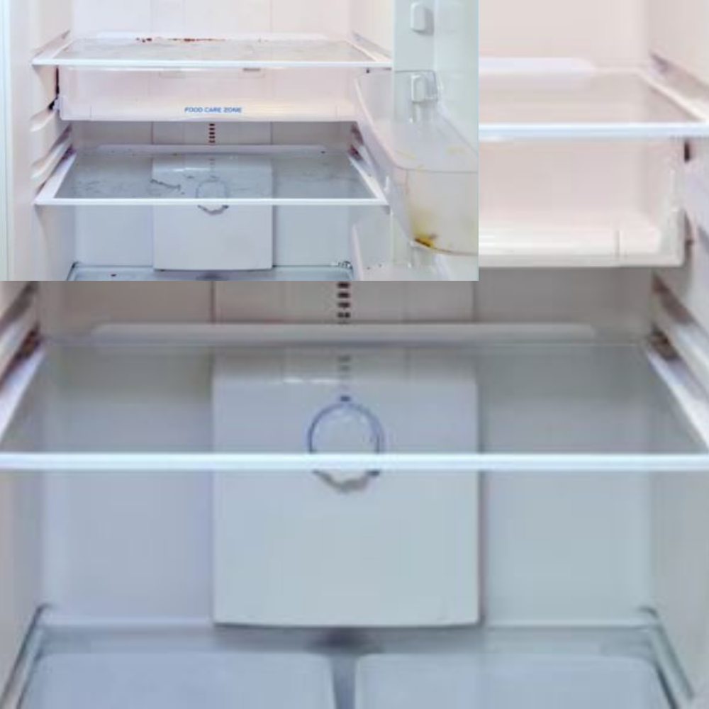 Precision All‑Purpose Steamer