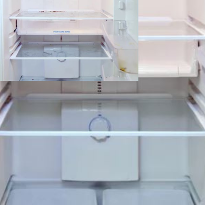 Precision All‑Purpose Steamer