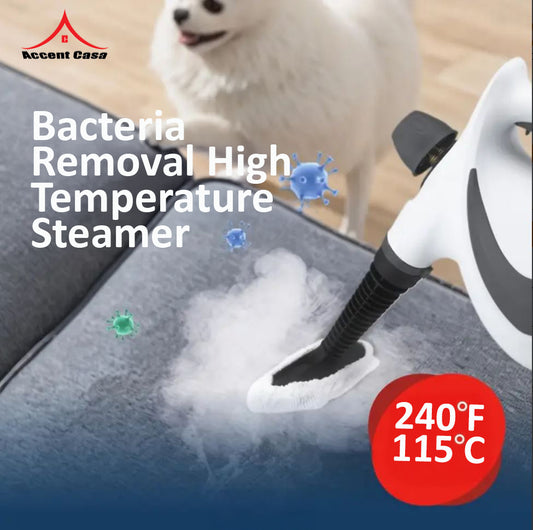 Precision HOME Steamer